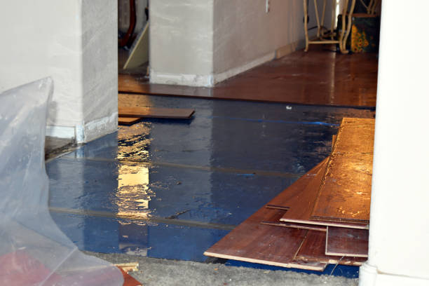 Professional Emergency Water Damage Restoration technician working in Petersburg, TN